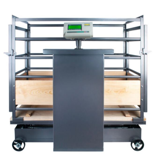 Báscula Porcina Electromecánica 500 Kg