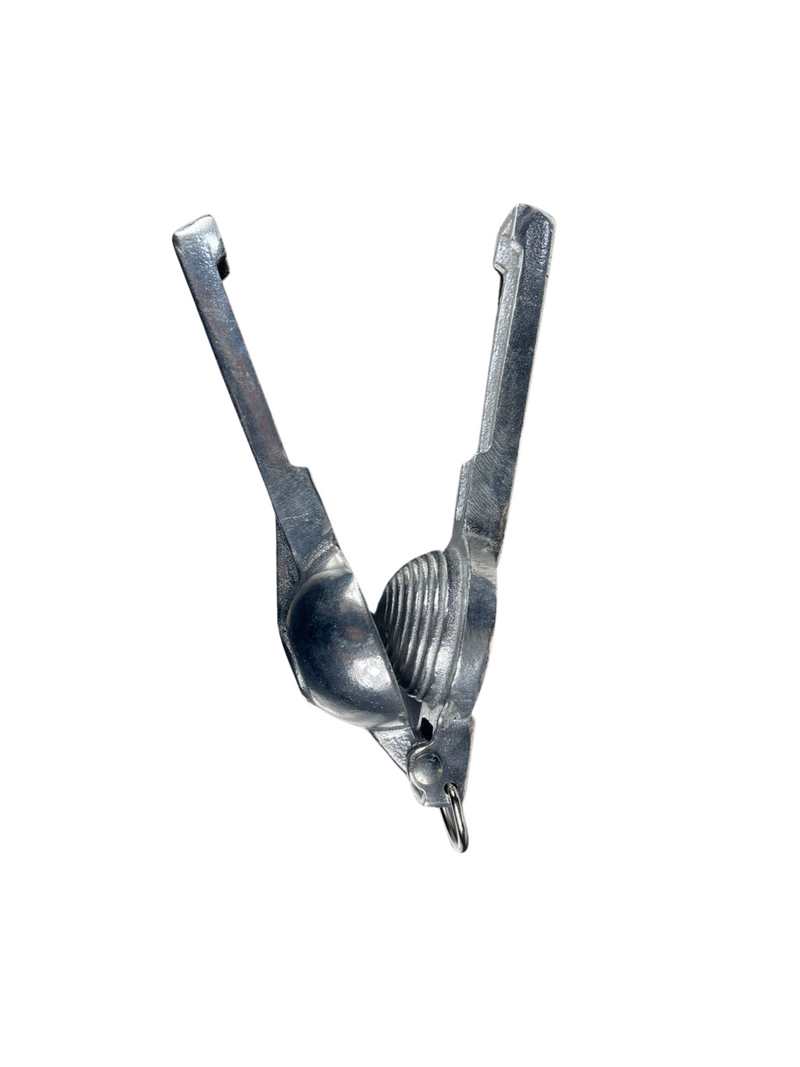 Exprimidor de Limones Especial