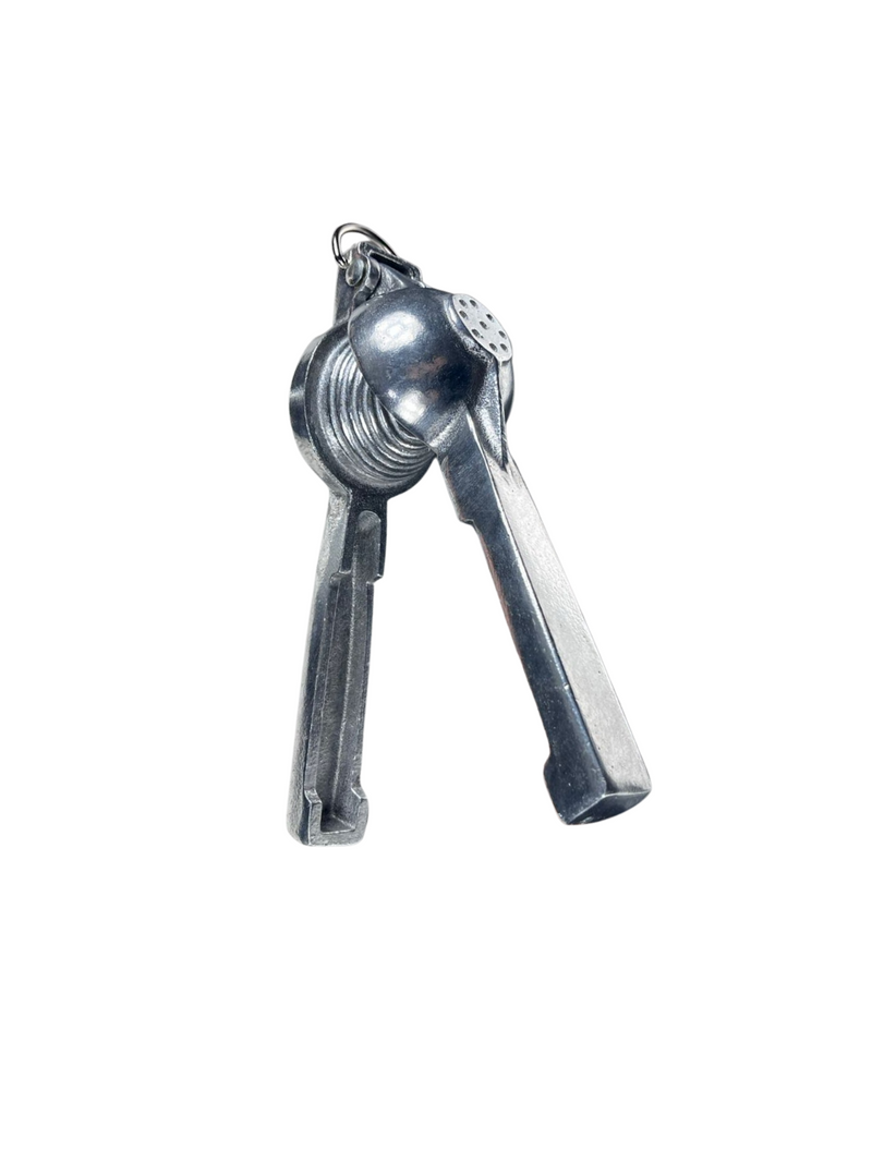 Exprimidor de Limones Especial